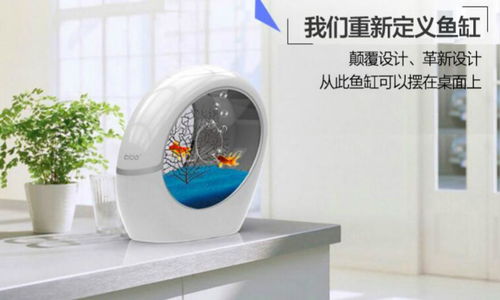 稀品匯 科技與新概念的互聯網營銷先鋒，引領布加桌寶線上銷售新潮流
